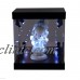 MB Display Box Acrylic Case LED Light House for mini collectible doll figurine   301491405781